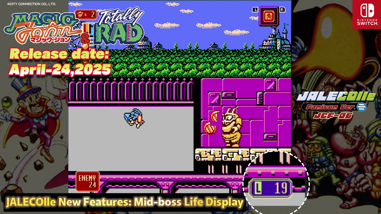 Mid-boss Life Display IMG
